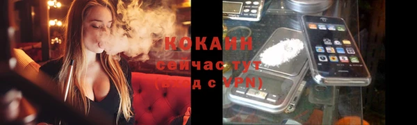 mix Пересвет