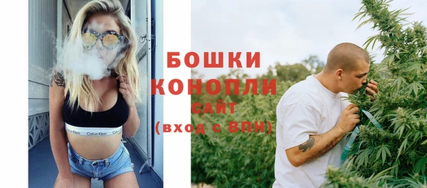 mix Пересвет